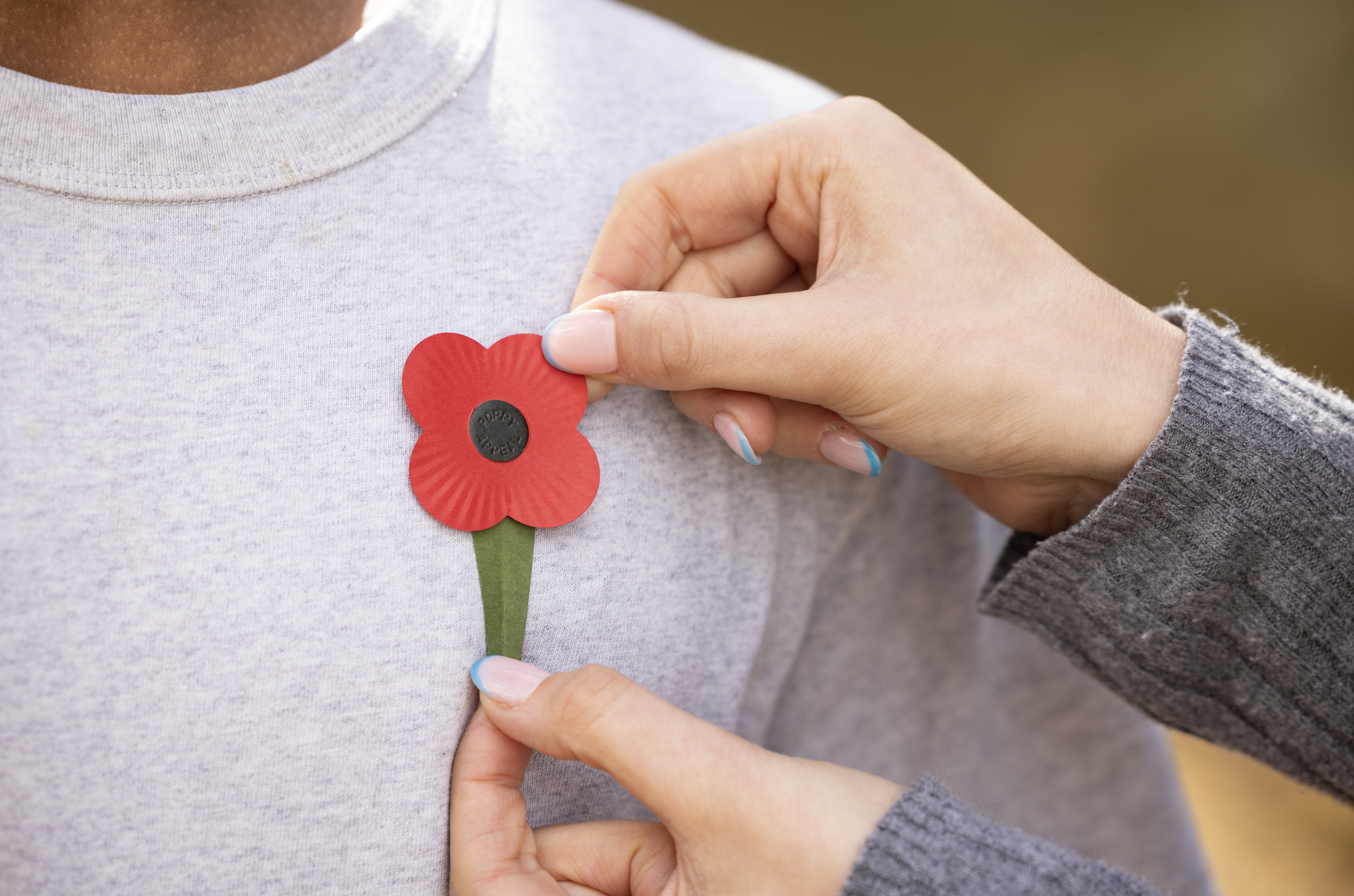 Landscape poppy on lapel